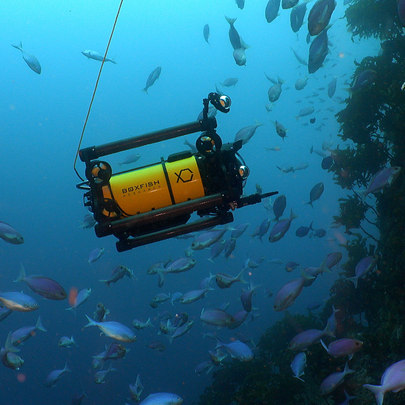 Boxfish Luna cinematography drone at Poor Knights Marine Reserve during its sea trial