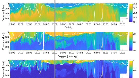 Intense Observation of the Deep Convection in the North-Western Mediterranean Sea with a SEAEXPLORER Glider Fleet