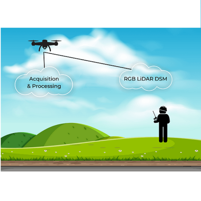 LidarSwiss LSAP - LiDAR Synchronous Acquisition and Processing