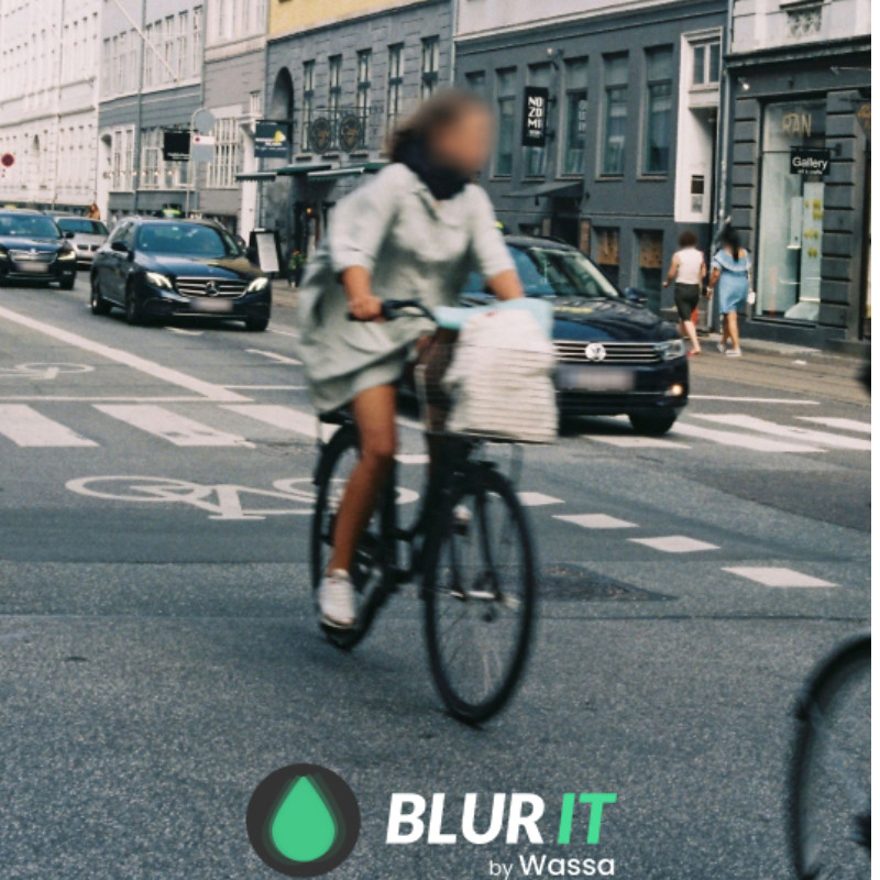 BlurIT Anonymization solution -Automatic Blurring Software
