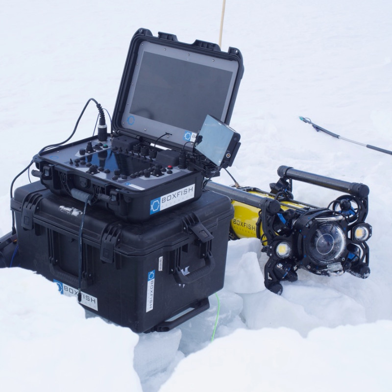 Boxfish ROV tested in Antarctica, Arctic and PNG