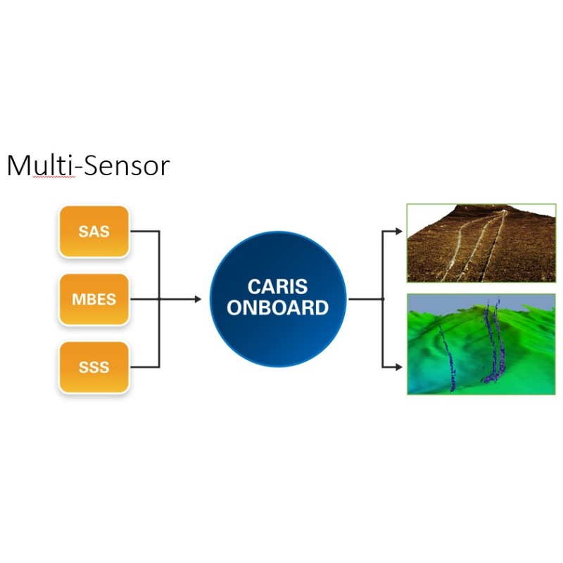 Simultaneously automate processing of all survey sensors on your platform